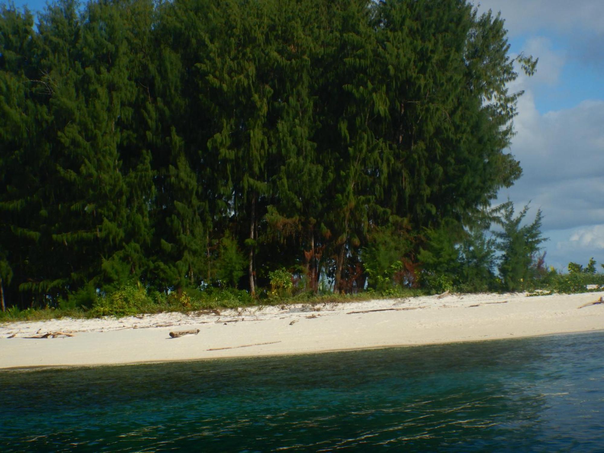 Raja Ampat Blue Sea Villa Besir Ngoại thất bức ảnh